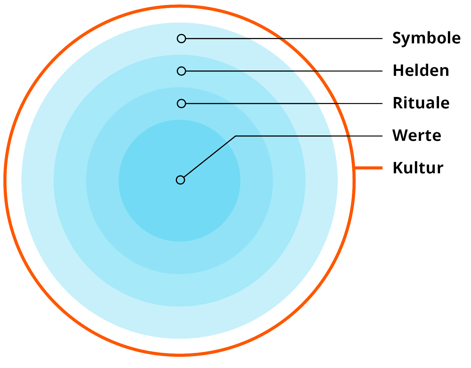 Company Compass - Digitaler Kulturmanager